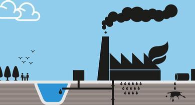 Environmental management by Douglas Adamson